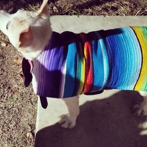 Dog Poncho Size Medium